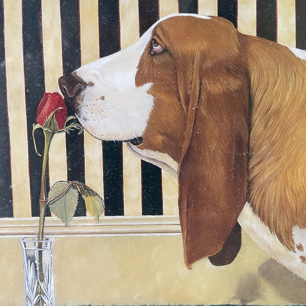 Meet your Posher, Justin